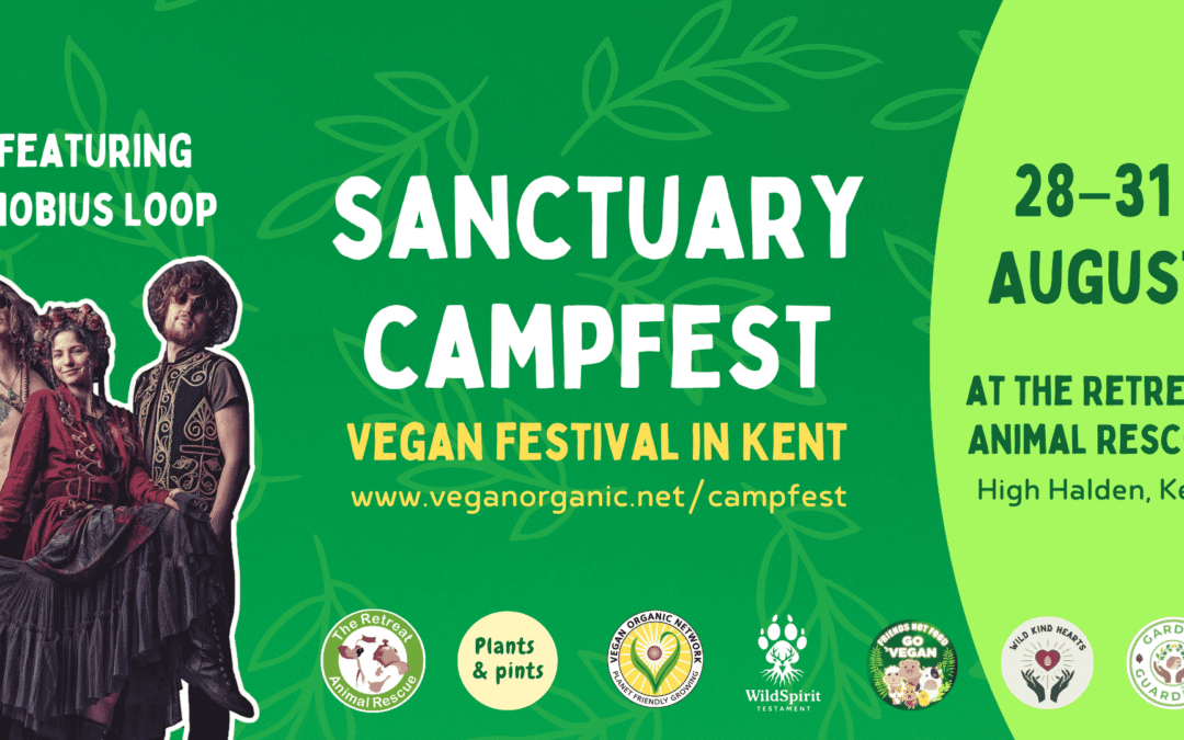 Sanctuary Campfest 28th-31st August 2026