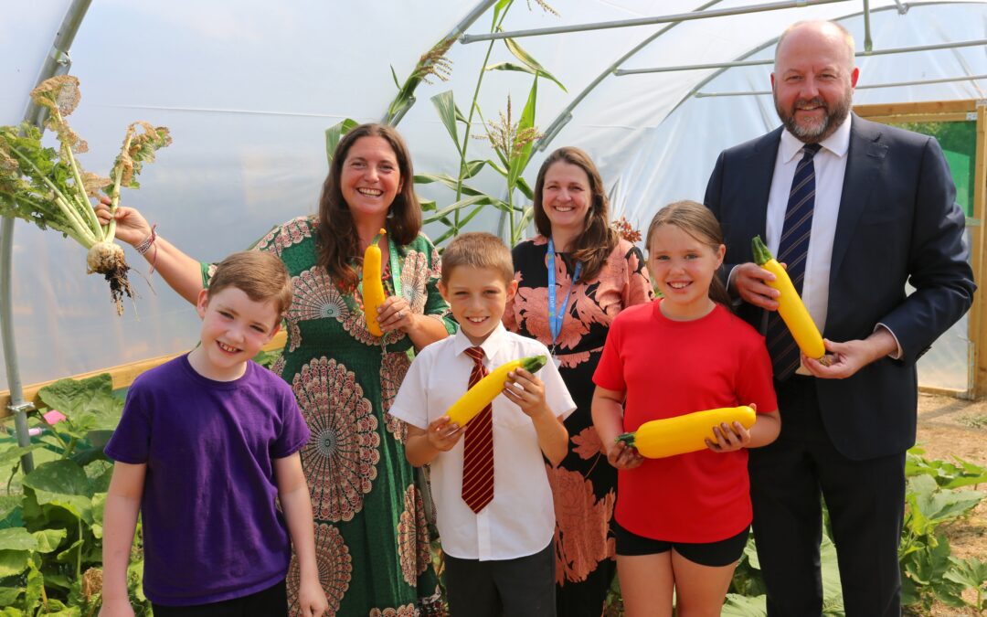 From Seed to Sanctuary: Clare Community Primary’s Growing Nature Academy Blossoms