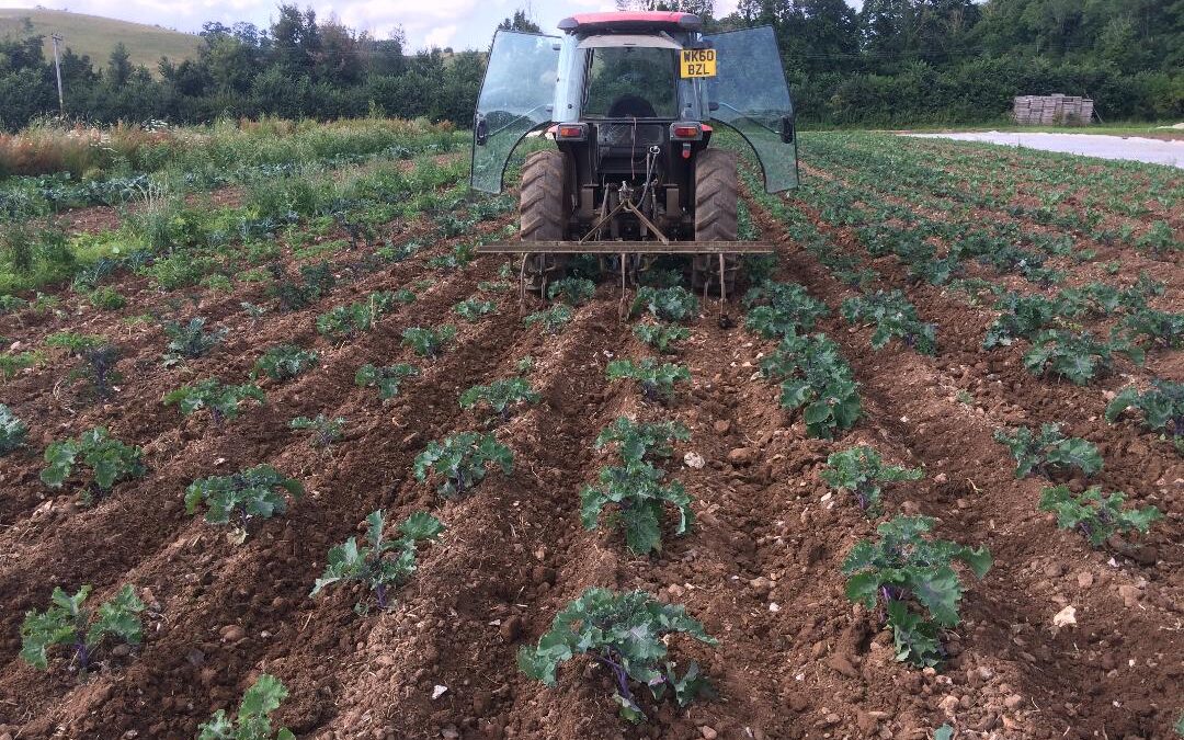 Tillage techniques for soil health and care